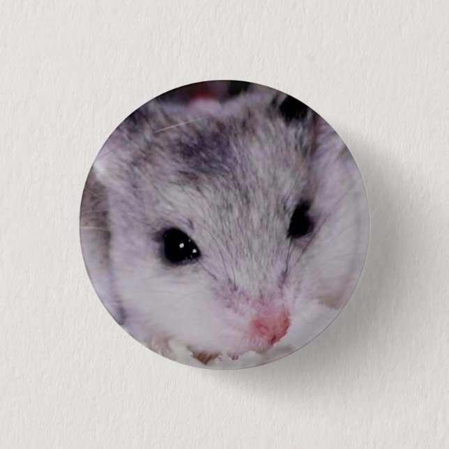 babyham 1 inch round button (Front)
