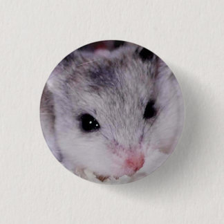 babyham 1 inch round button