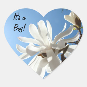 Baby's Birth stickers It's a Boy! Blue Sky Floral