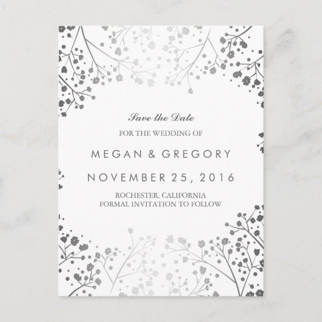 baby's breath silver and white save the date announcement postcard (Front)