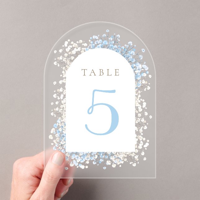 Baby's Breath white blue table number (Insitu (Handheld))