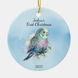 Baby's First Christmas Bird Personalized Ceramic Ornament