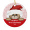 Baby's First Christmas Ornament Santa Bear