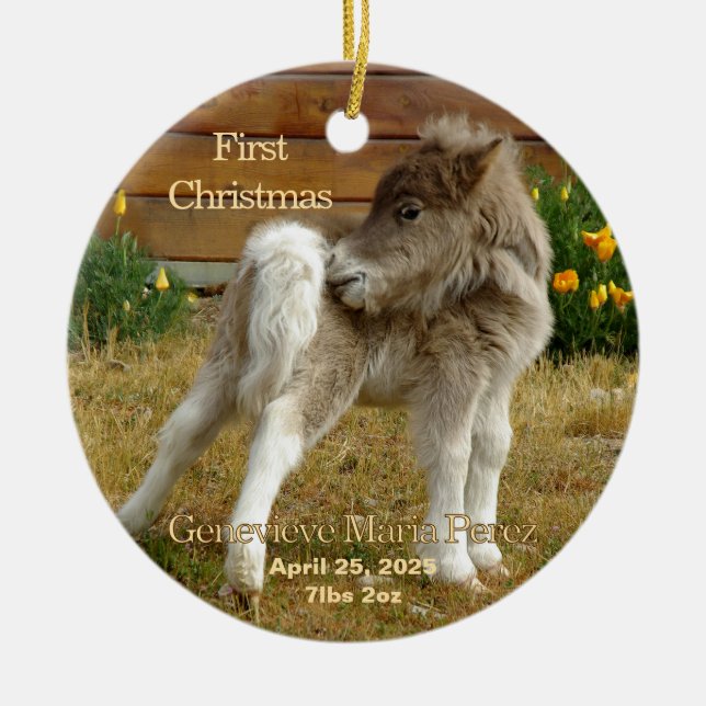 Baby's First Christmas Pony in Poppies Ornament (Front)