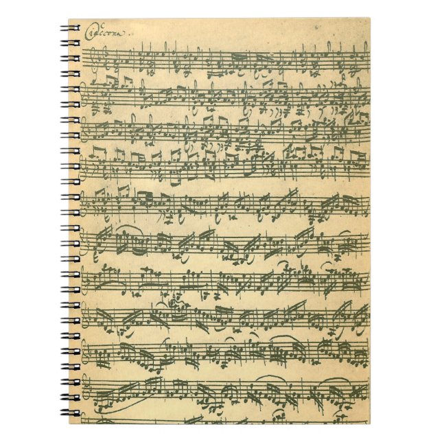 Bach Chaconne Spiral Notebook (Front)