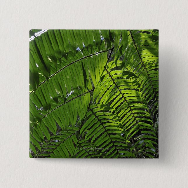 Bach Ma National Park 2 Inch Square Button (Front)