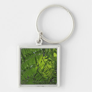 Bach Ma National Park Keychain