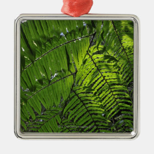 Bach Ma National Park Metal Ornament