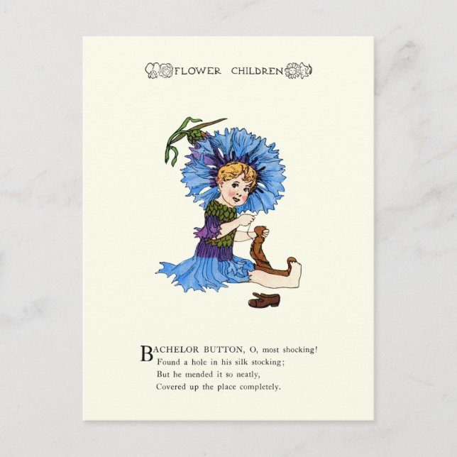 Bachelor Button Postcard (Front)
