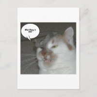 Bachelor Party Humour