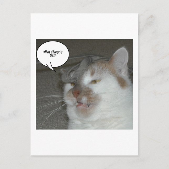 Bachelor Party Humour Postcard (Front)