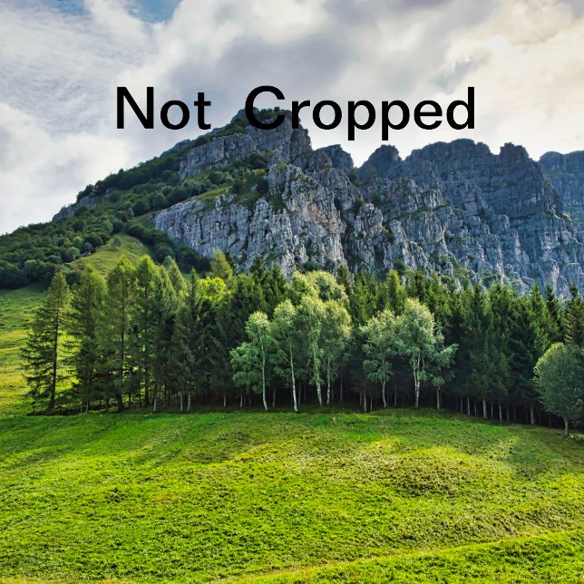 bachelorette invitation (Creator Uploaded)