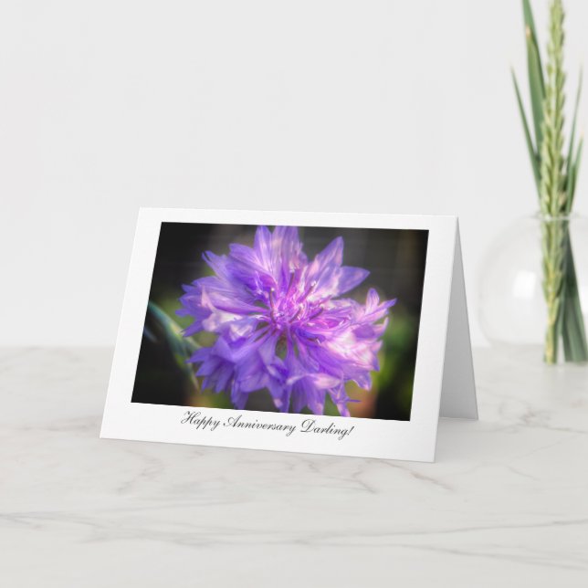 Bachelor's Button Cornflower - Happy Anniversary Card (Front)
