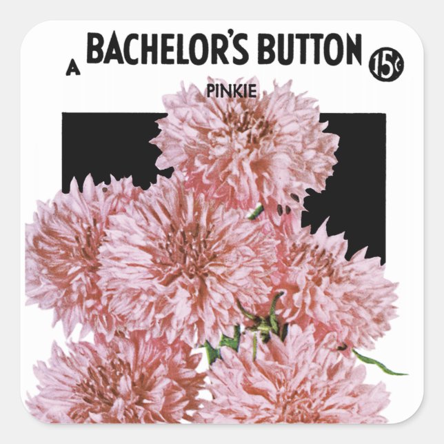 Bachelor's Button Seed Packet Étiquette (Devant)