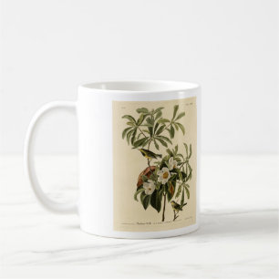 Bachman's Warbler, from Audubon's Birds of America Coffee Mug