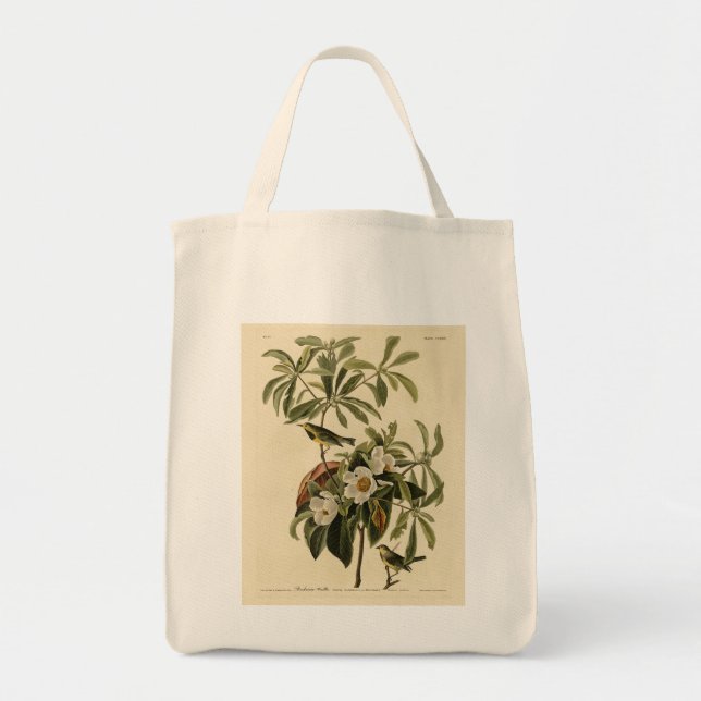 Bachman's Warbler, from Audubon's Birds of America Tote Bag (Front)