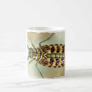 Bacillus insect dorsal view 300824IREF247 - Waterc Coffee Mug