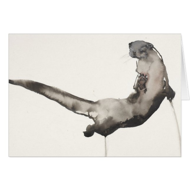 Back Awash (Front Horizontal)