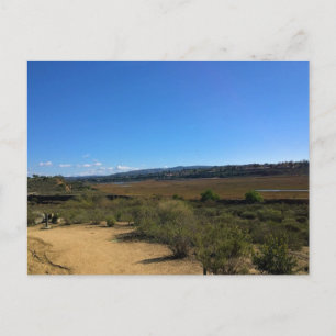 Back Bay, Newport Beach, California Postcard