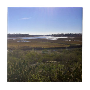 Back Bay, Newport Beach, California Tile