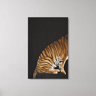 Back end of tiger sitting on platform canvas print