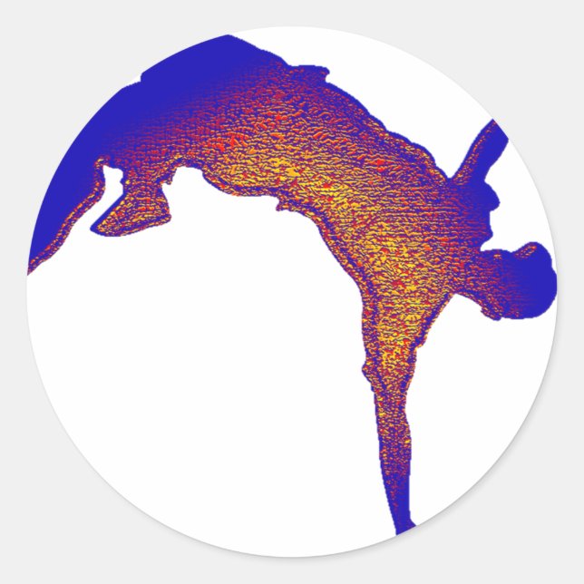 Back Flip Classic Round Sticker (Front)