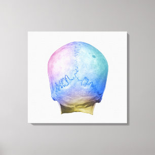 Back of Human Skull Canvas Print