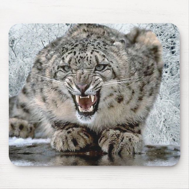 Back Off! Mouse Pad (Front)