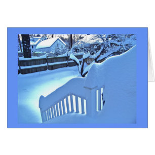 Back Railing in snow
