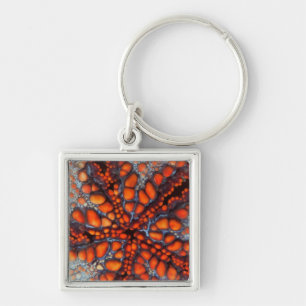 Back Side Of Sea Star Cambodia Keychain