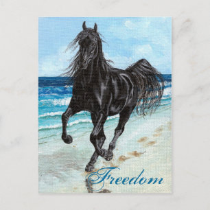 Back Stallion Arabe cheval Liberté carte postale