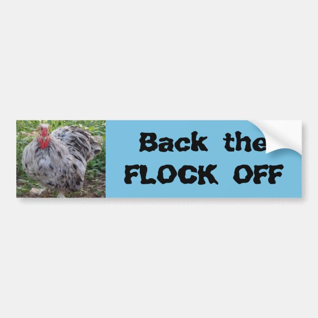 Back the Flock OFF Grumpy Rooster Bumper Sticker (Front)
