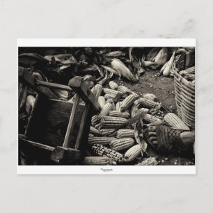 BACK TO BASIC postcard