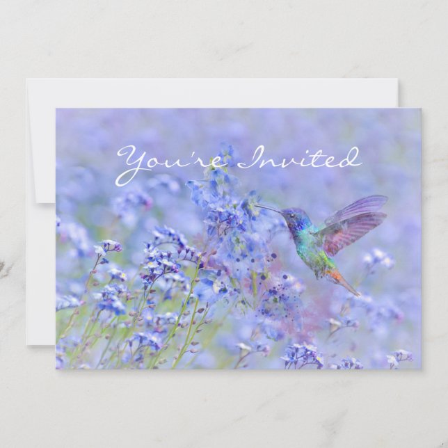 Back to Nature, Hummingbird Year Birthday Invite (Front)