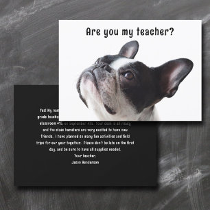 Back to School Boston Terrier Welcome Cards
