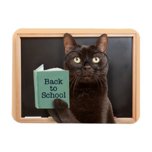 Back to School Cat Reading Book Humor  Magnet