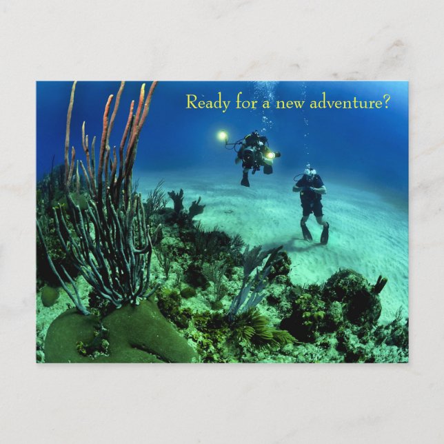 Back to School Deep Sea Diving Adventure Postcard (Front)