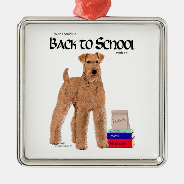 Back to School Metal Ornament (Front)