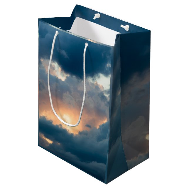 back to the early show medium gift bag (Front Angled)