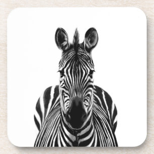 Back Up Plan III Coaster