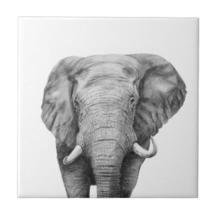 Back Up Plan IV Tile