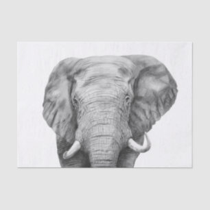 Back Up Plan IV Tissue Paper