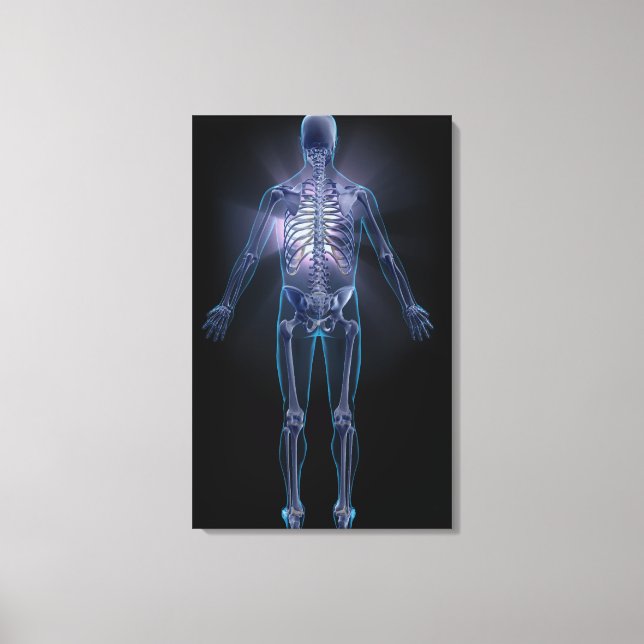 Back view of a human skeleton canvas print (Front)