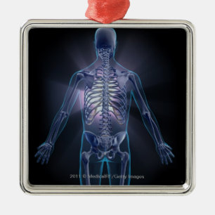 Back view of a human skeleton metal ornament