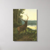 Back view of Elk Looking over a Lake