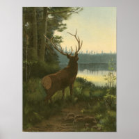 Back view of Elk Looking over a Lake