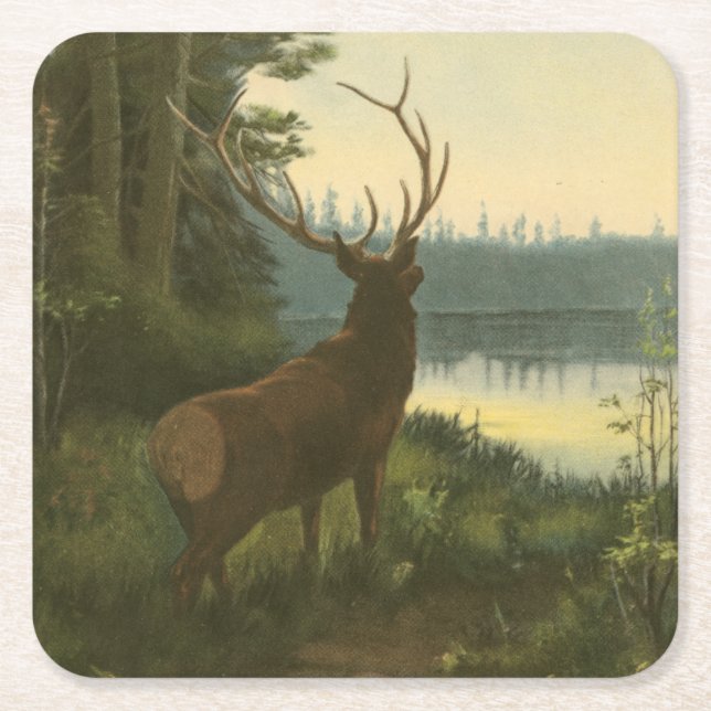 Back view of Elk Looking over a Lake Square Paper Coaster (Front)