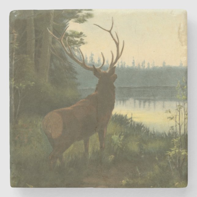 Back view of Elk Looking over a Lake Stone Coaster (Front)