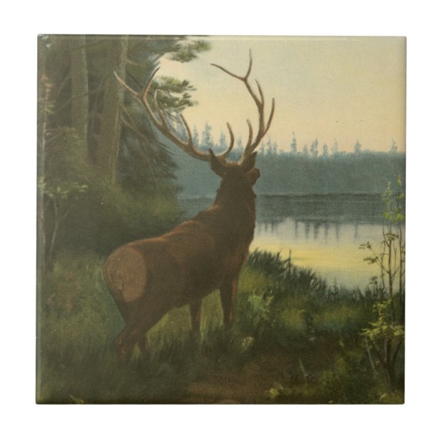 Back view of Elk Looking over a Lake Tile (Front)