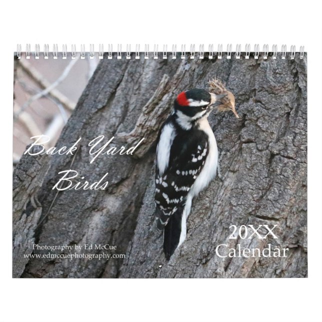 Back Yard Birds Calendar (Cover)